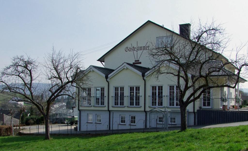 Wein & Gaestehaus Rosenlay Lieser Dış mekan fotoğraf